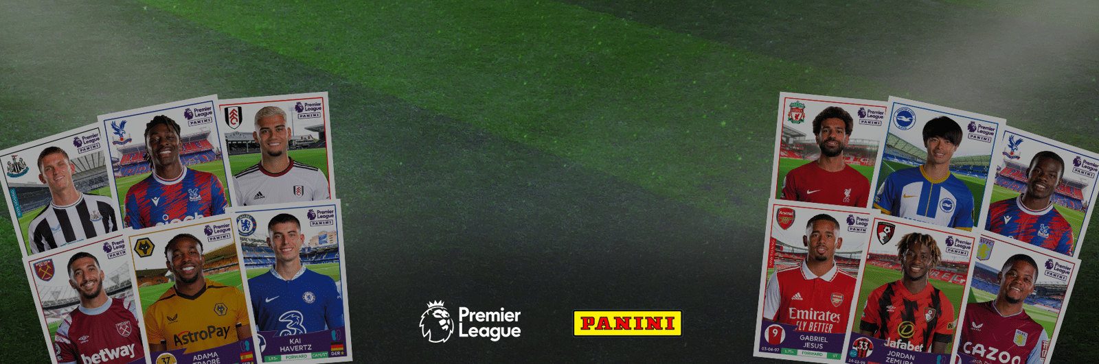 Panini Swap Shop Image