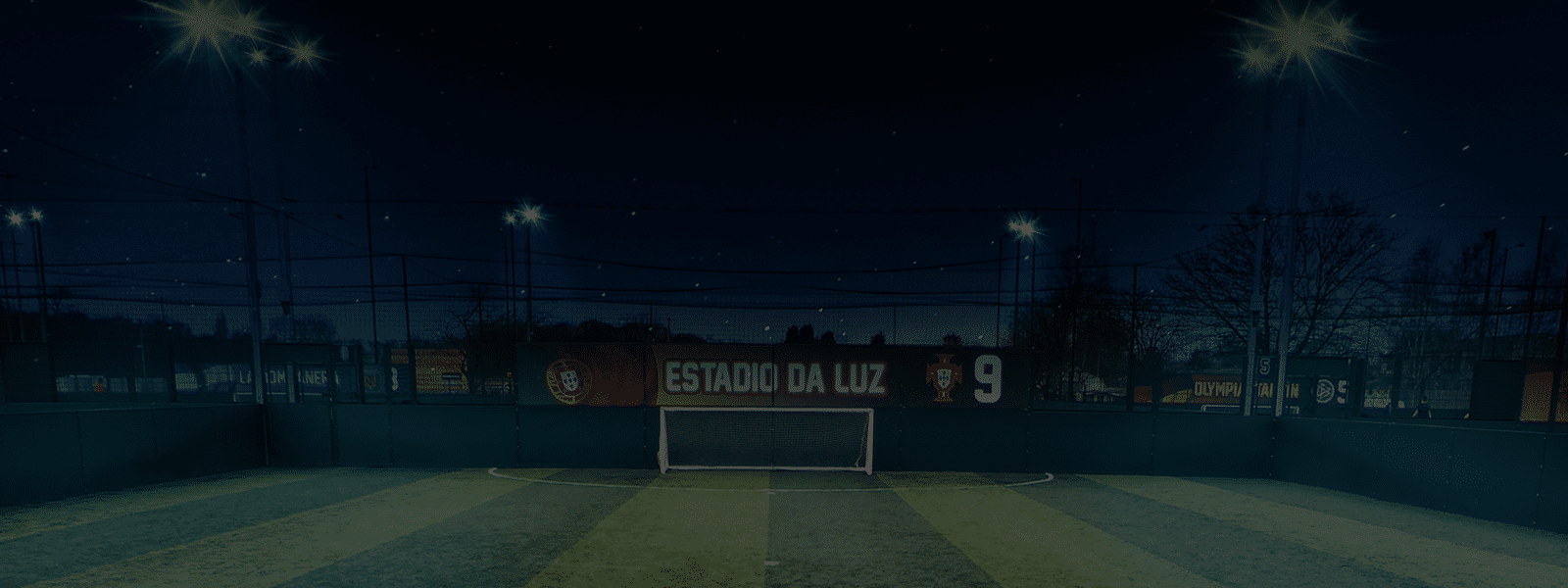 BLACK FRIDAY OFFER COMING SOON...  Image