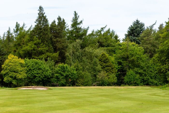 Tee off with us
