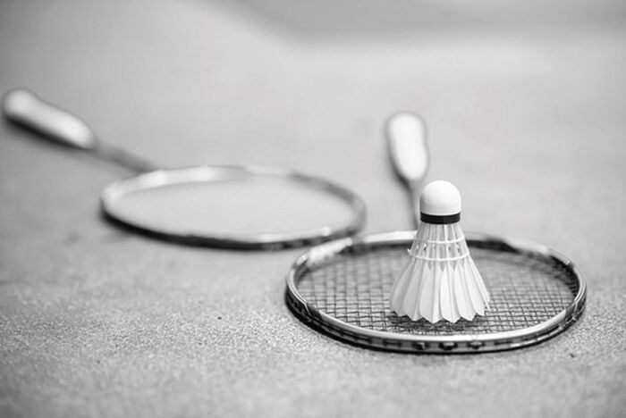 Enjoy Badminton 