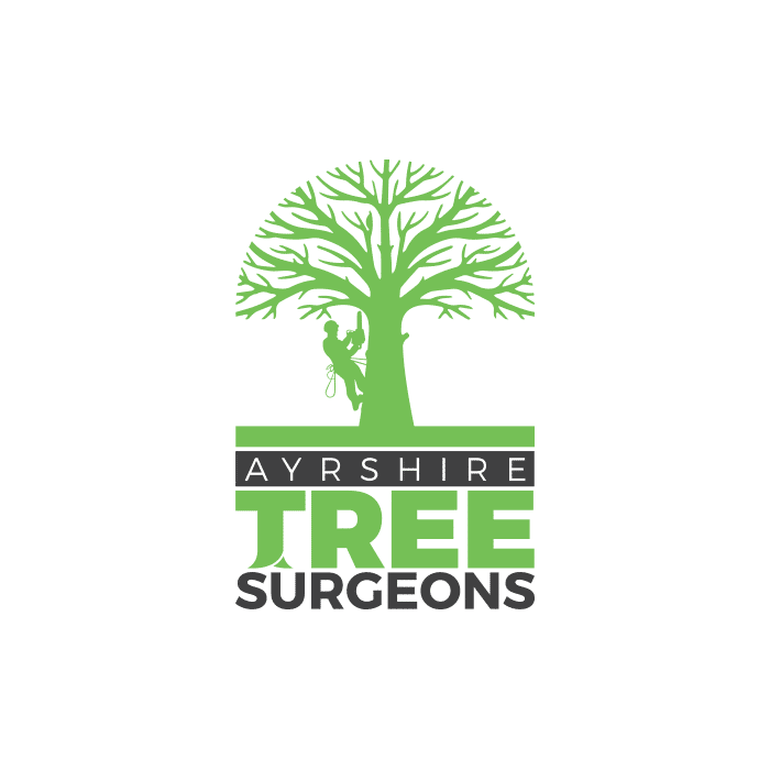 Reaching new heights with Ayrshire Tree Surgeons.