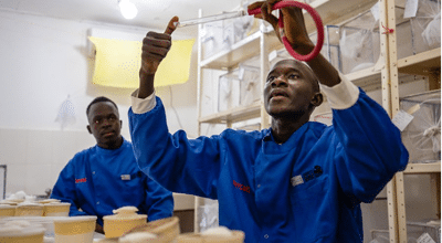 MRCG at LSHTM's integral role in the development of the RTS,S malaria vaccine