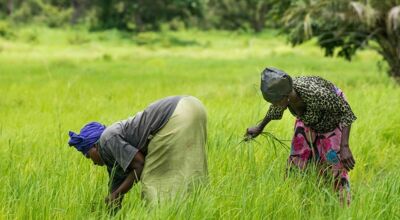 World Health Organization recognises LSHTM’s expertise on climate change and health