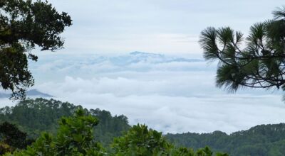 Edge Hill research project shows how climate change threatens plant species in Honduras and around the world