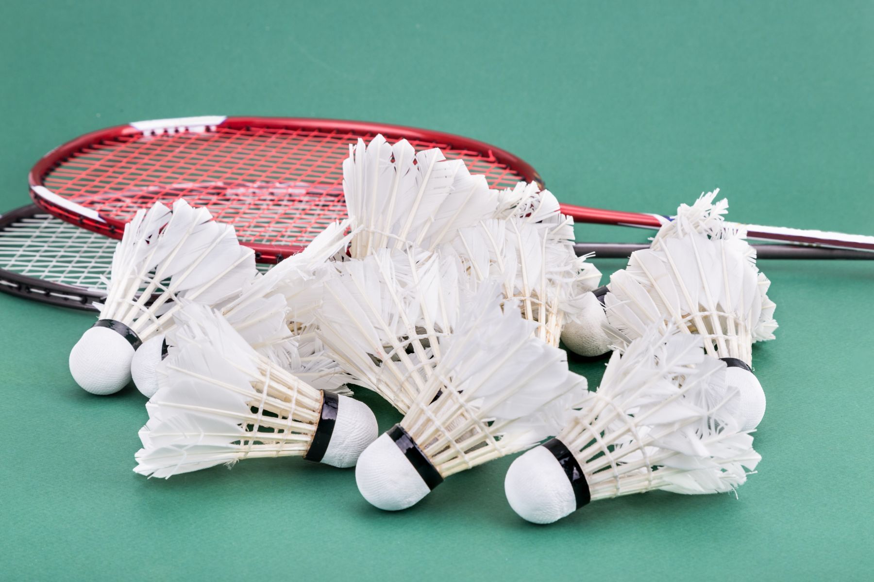 Badminton coaching launches at Xcite Craigswood